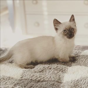 Meet your Posher, Sara